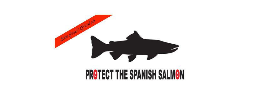 PROTECT THE SPANISH SALMON