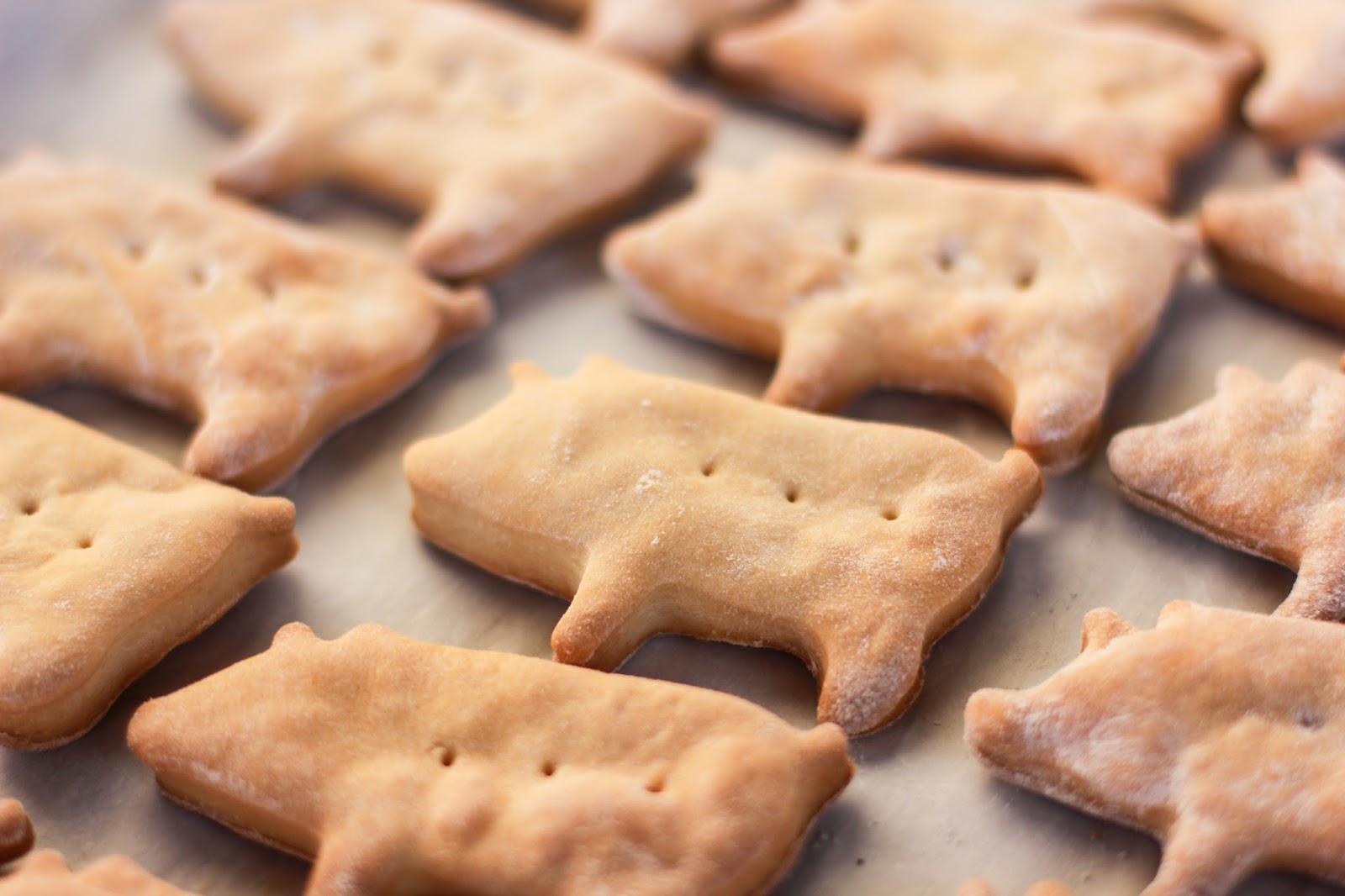 Cooking with Jax Bacon Dog Treats