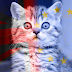 The fate of UK SPCs in the Brexit era