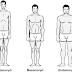 Body types and weight loss