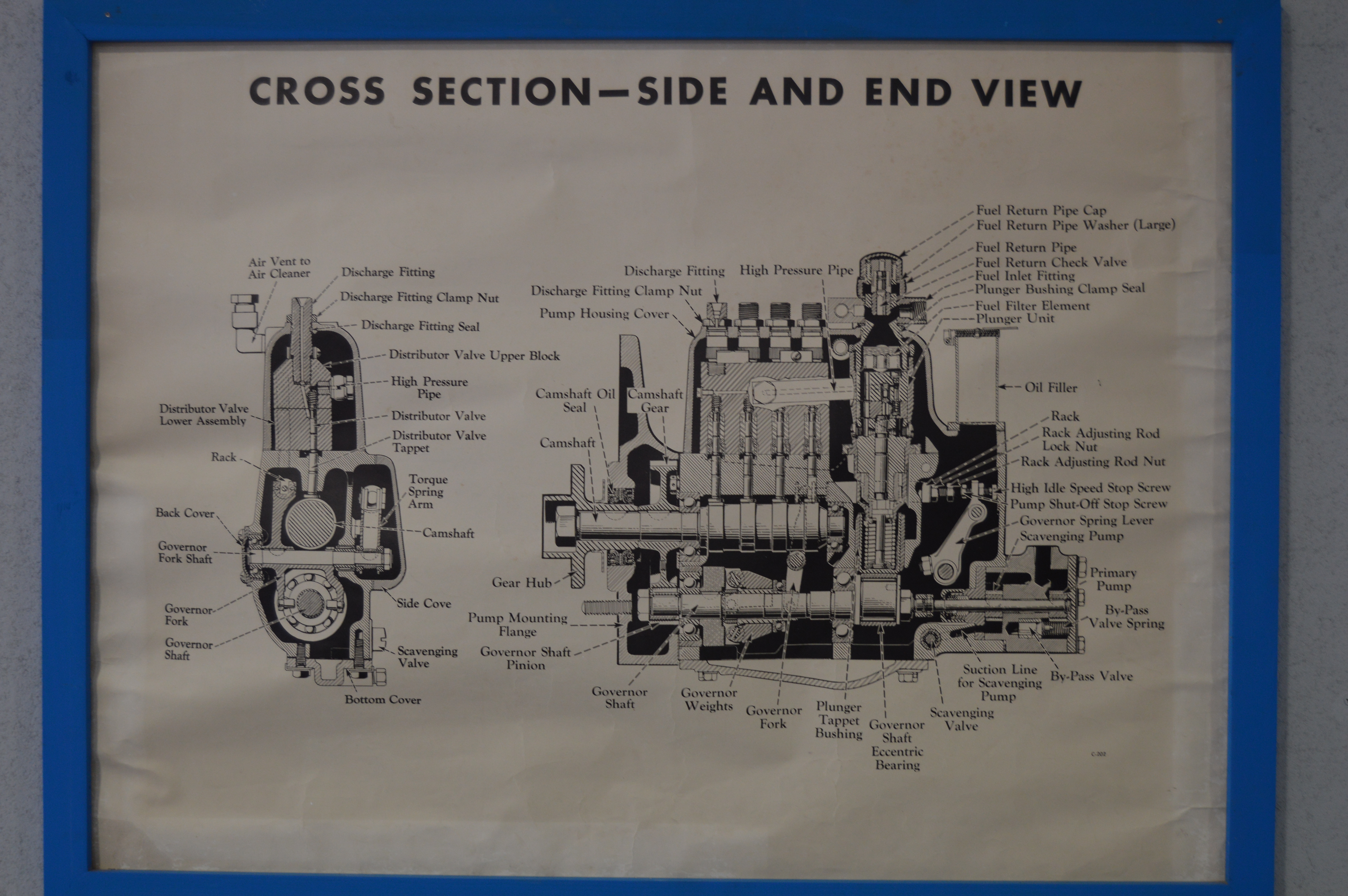 Towns and Nature Leesburg, FL Paquette's Historical Farmall Museum