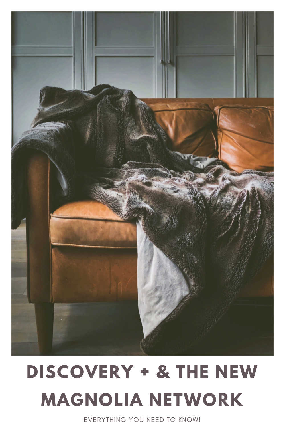 Discovery+ and the New Magnolia Channel Everything You Need to Know