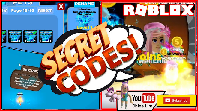 Chloe Tuber Roblox Ninja Legends Gameplay 2 New Secret Code In Winter Wonder Island Duel And Gems - new codes all codes in ninja legends 2019 roblox