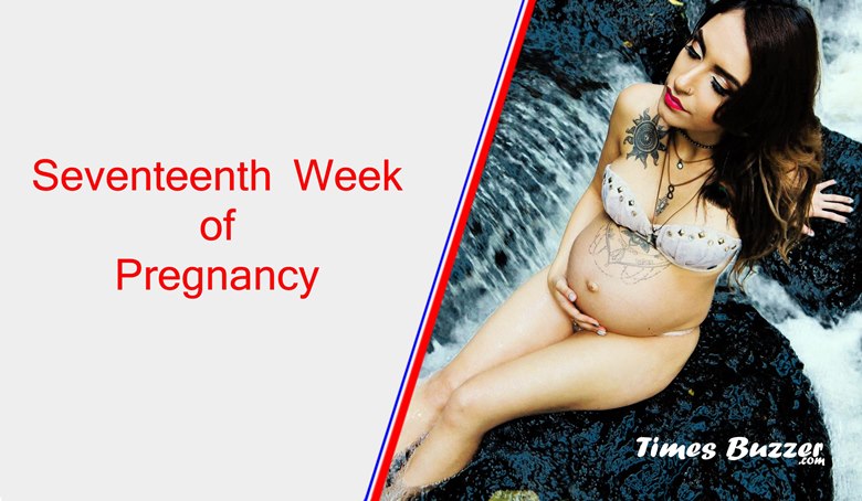 17th week of pregnancy