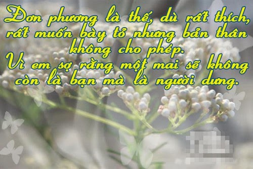 Hình ảnh những câu nói hay về tình yêu đơn phương