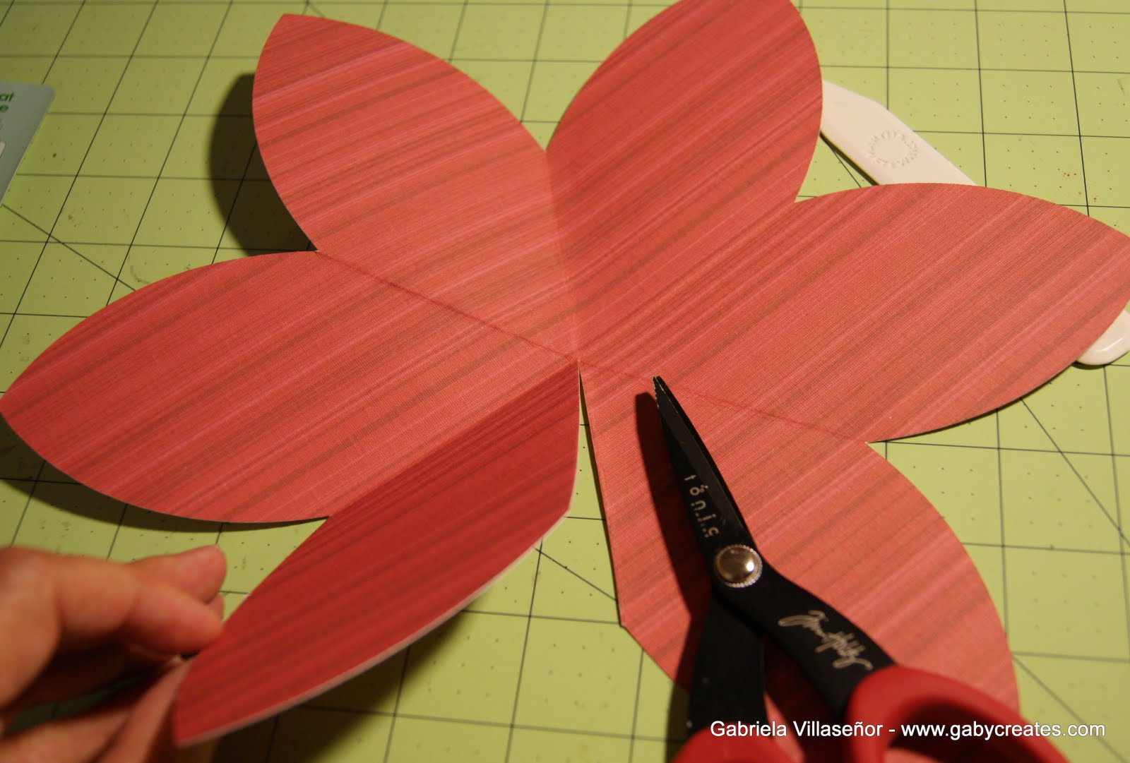 She's a Sassy Lady Strawberry Box Cricut Flower Shoppe