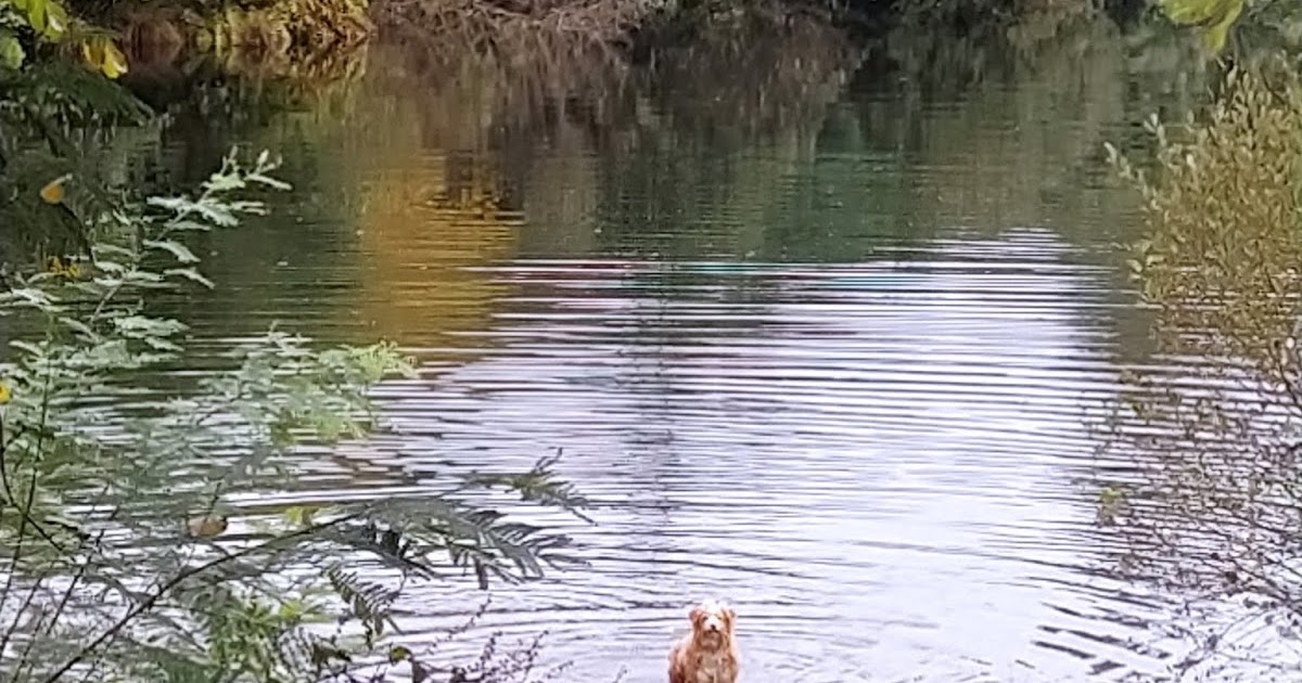 Rutas Fotográficas polas Terras de Pontevedra CerdedoCotobade