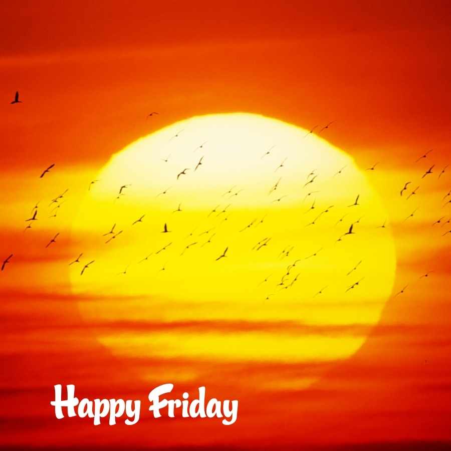 good morning images of friday