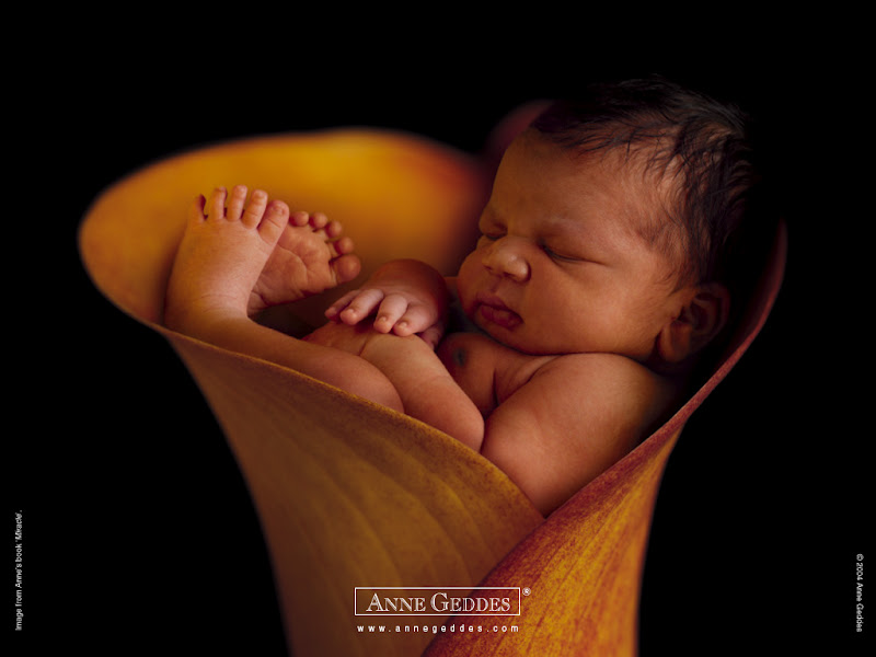 Anne Geddes Babies Images with Flowers. Oh My Baby!