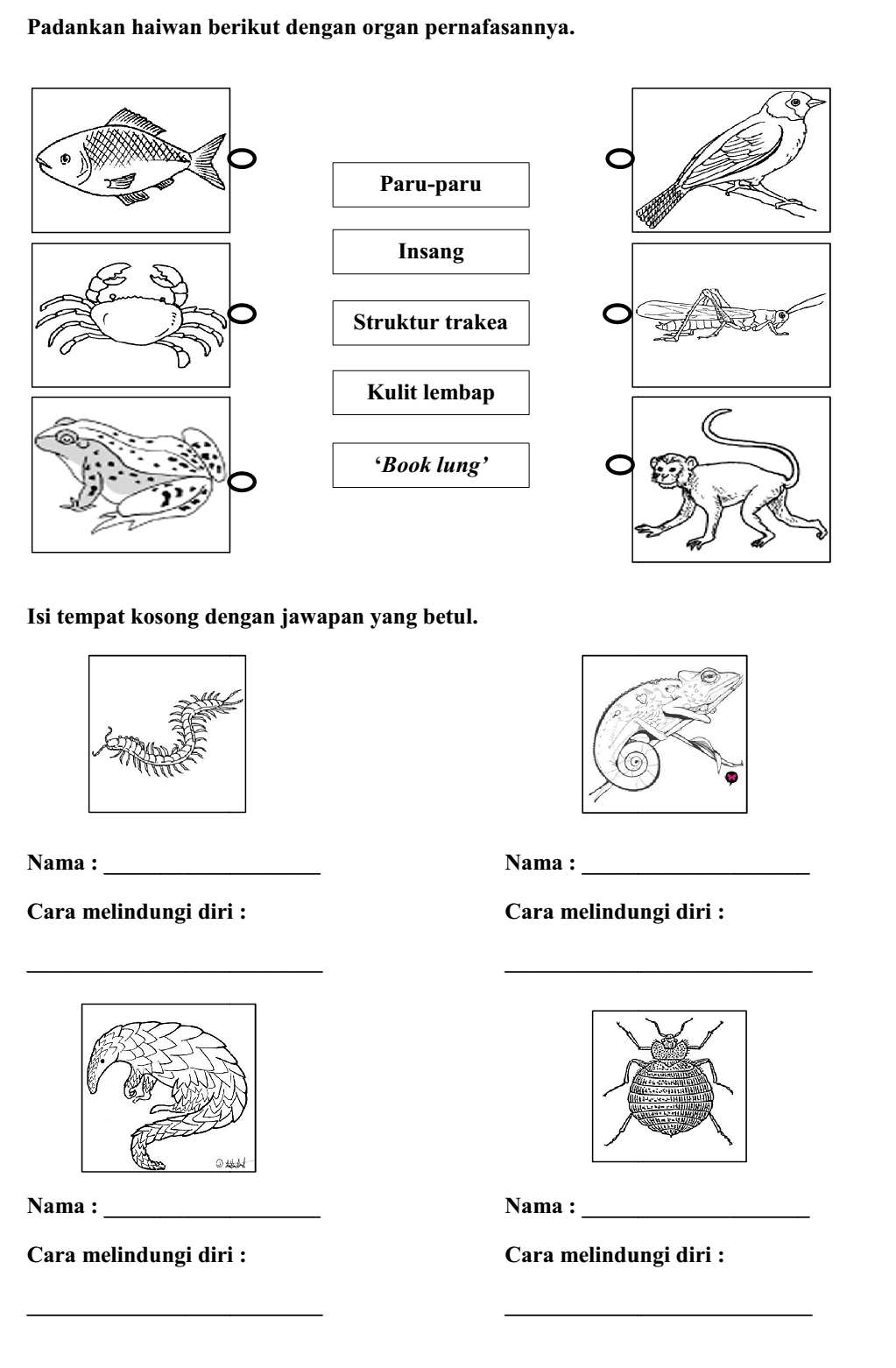 Latih Tubi Latihan Sains Tahun 3 2019  Riset