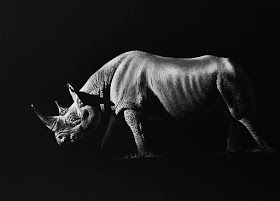 09-Rhino-Richard-Symonds-www-designstack-co