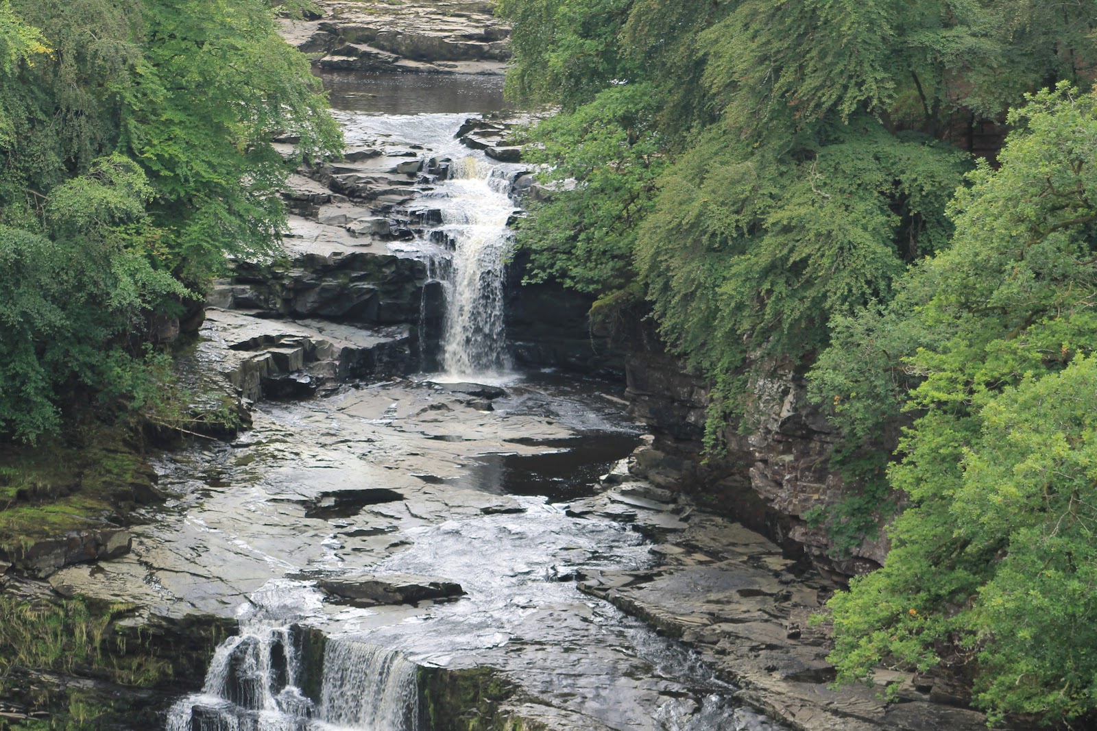 41+ The Falls Of Clyde Reserve Pics