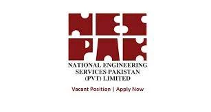 National Engineering Services Pakistan Jobs 2021-Apply Now