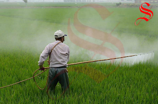 رحلة المبيدات من جائزه نوبل إلي الحظر العالمي