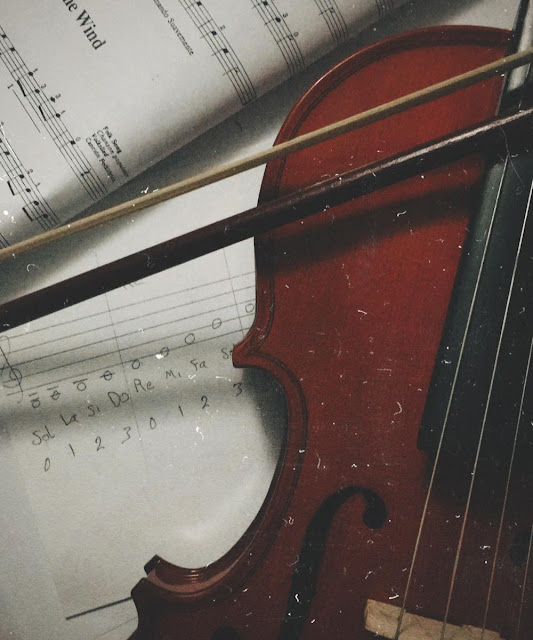 أوتار كمان, الة الكمان للمبتدئين, تعليم العزف على الة الكمان للمبتدئين, دروس في الة الكمان, الة الكمان موضوع, كتاب سوزوكي لتعليم الكمان, كتاب سوزوكي