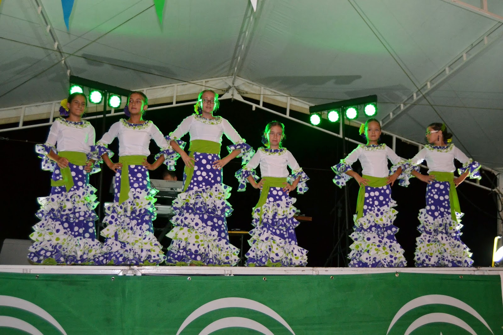 Nacimiento de Guaro La Laguna Las mejores fotos de la Feria de Guaro