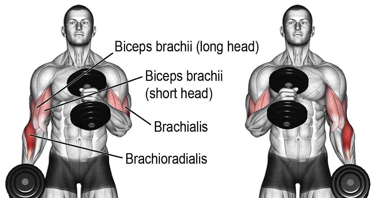 Alternating Crossbody Hammer Curls