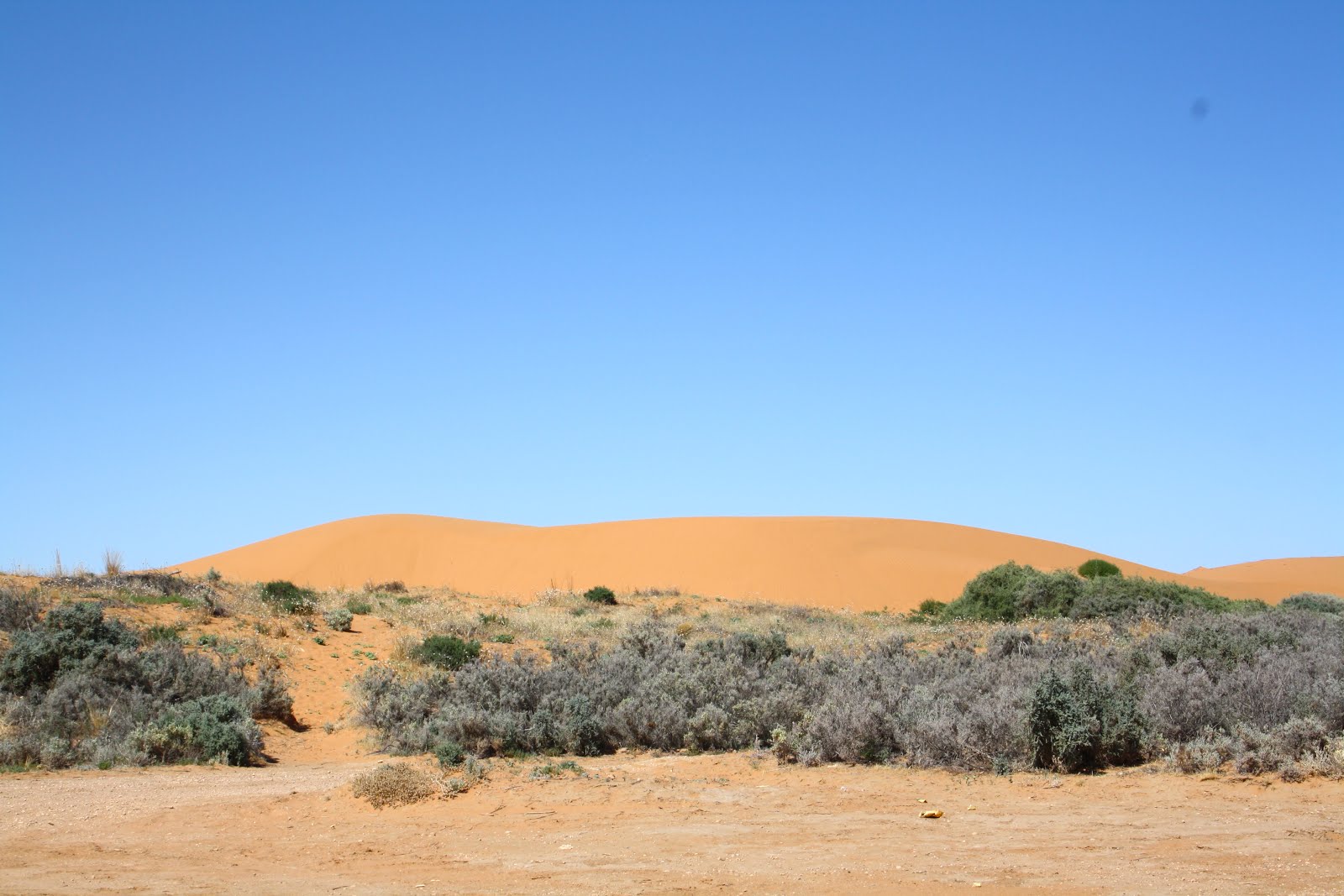 Wimmera, Mallee