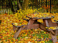 Autumn Quotes And Images2