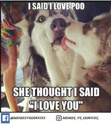 Click and get 101 best I Love You Meme that you can get anywhere else. I Love You Meme