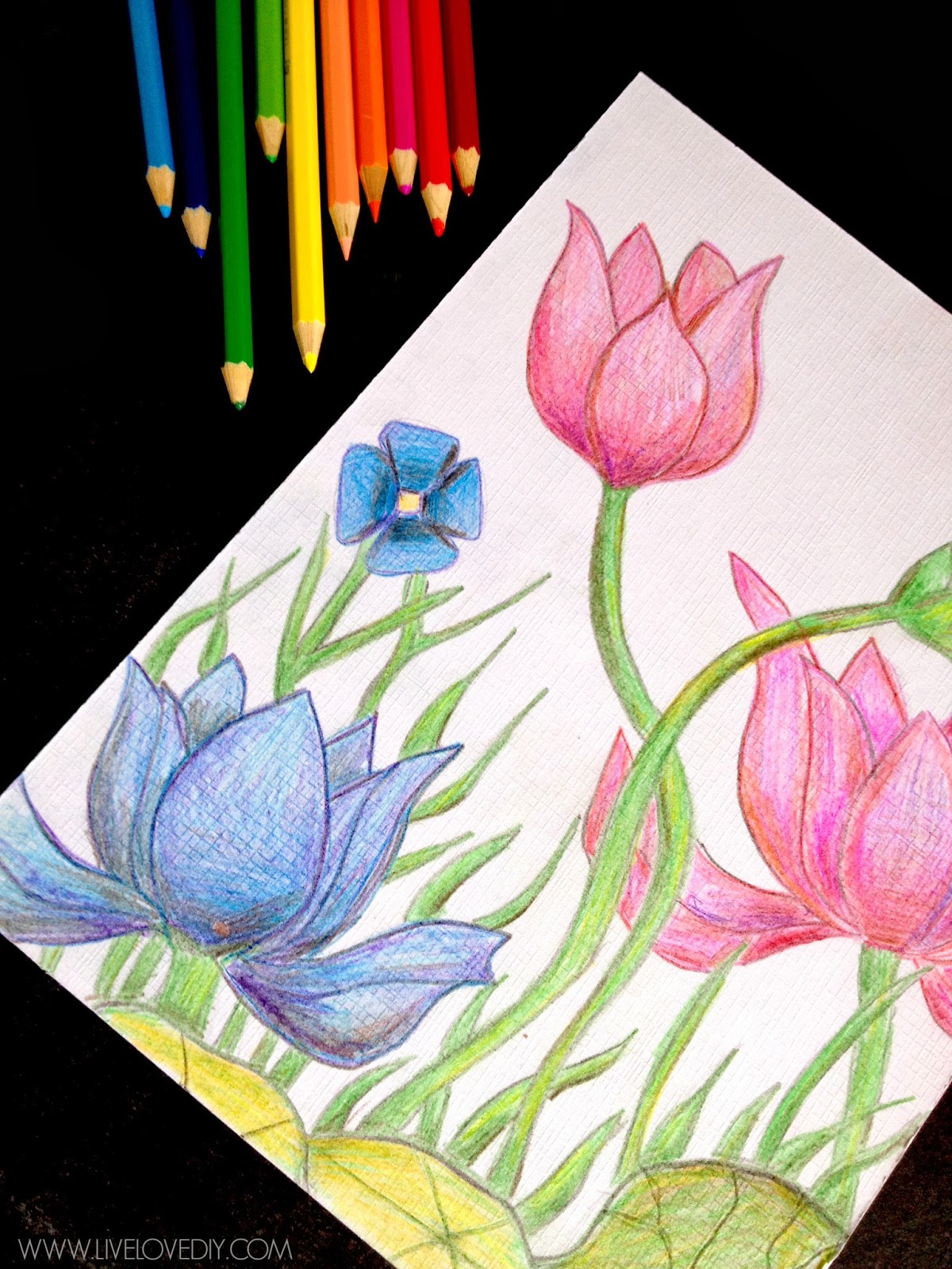 EASY TRICK FOR COLORED PENCIL DRAWINGS 