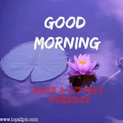 good morning tuesday images good morning tuesday images