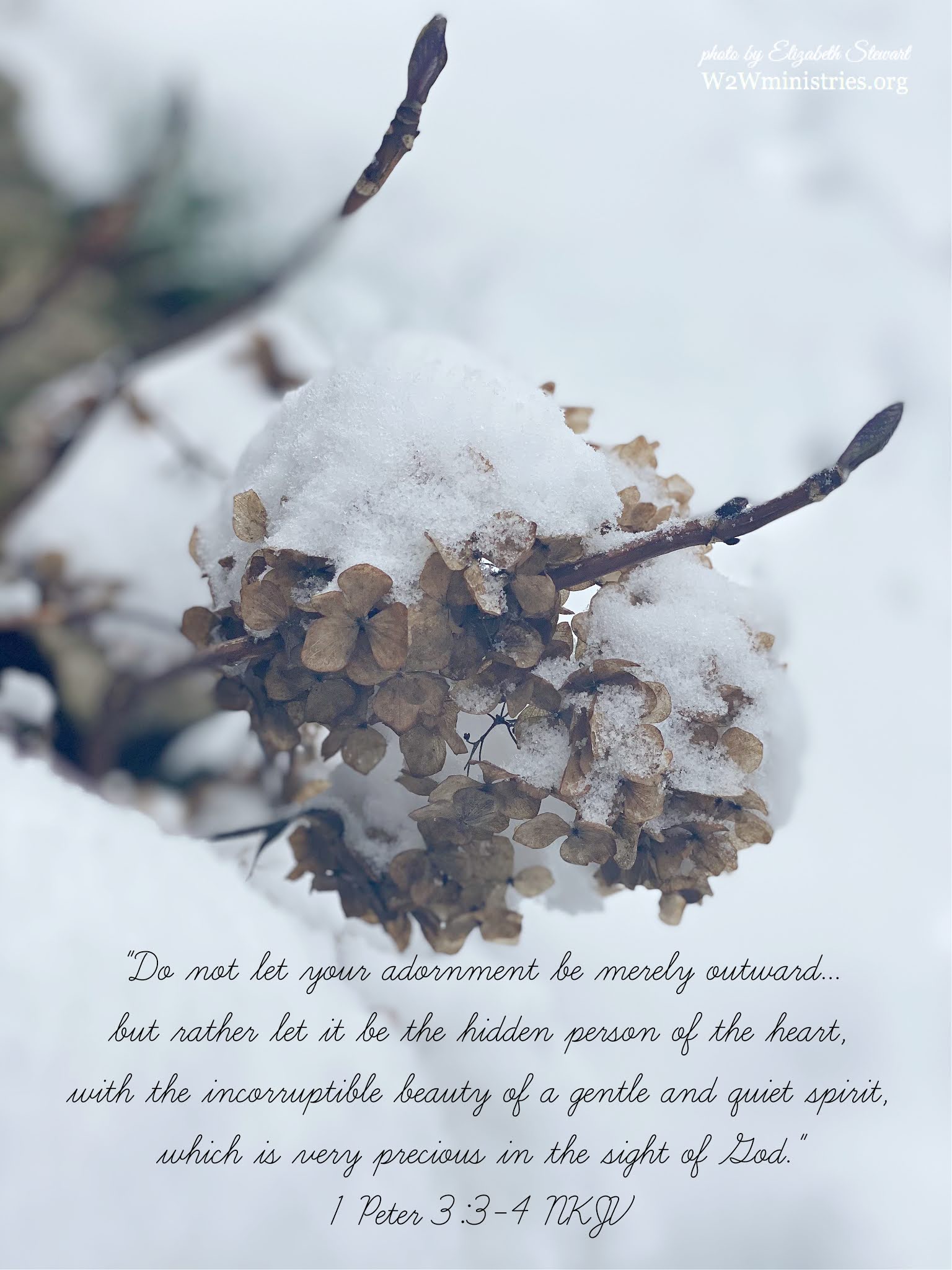 Woman to Woman A Gentle and Quiet Spirit