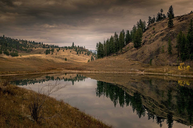 beautiful nature landscapes of