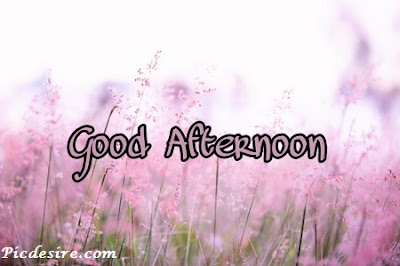 Best 50 Good Afternoon Images 2020 || Good Afternoon Images for Whatsapp Best 50 Good Afternoon Images 2020 || Good Afternoon Images for Whatsapp