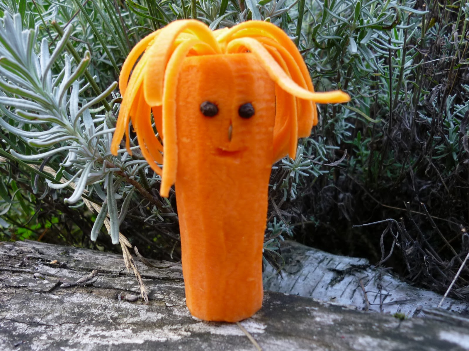 Ogród, druty i szydełko... Pan Marchewka na stres )