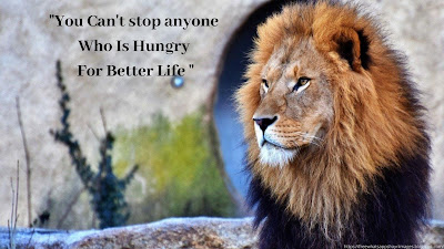 Lion Quotes for strong life