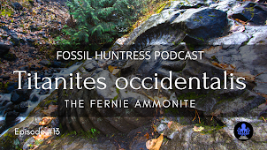 TITANITES: THE FERNIE AMMONITE / EPISODE #13