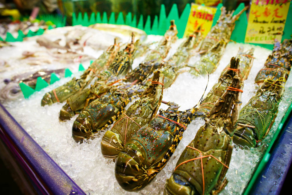 Wholesale Lobster Meat Supplier Fresh Water Lobster, Wholesale