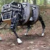 Estados Unidos criam espécie de “mula robótica” para auxiliar militares