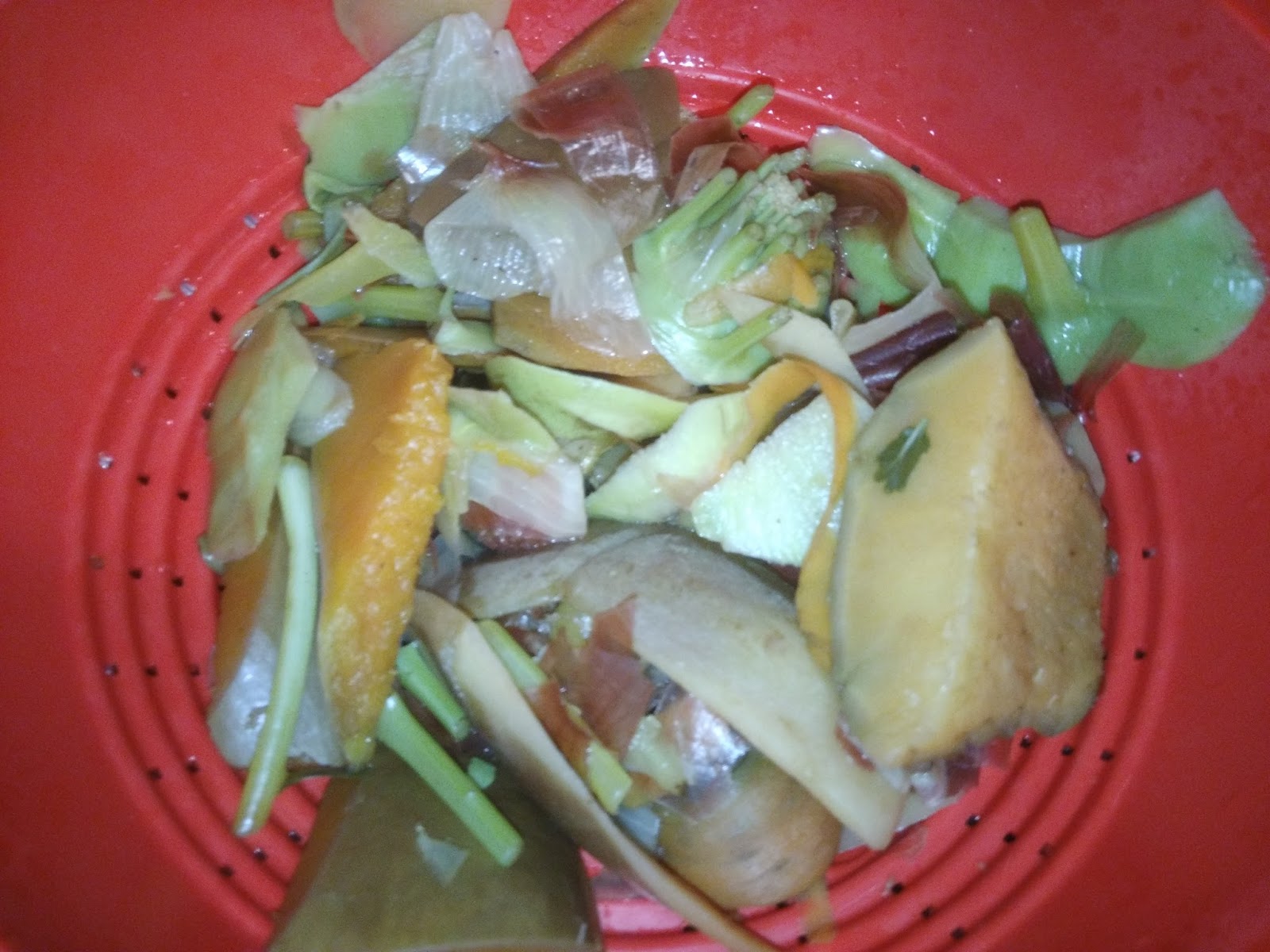 * Recette thermomix bouillon de légumes maison avec les épluchures