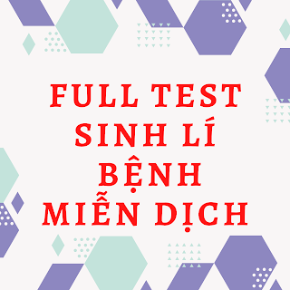 GI%25C3%2581O%2BTR%25C3%258CNH%2BHUY%25E1%25BA%25BET%2BH%25E1%25BB%258CC%2BTRUY%25E1%25BB%2580N%2BM%25C3%2581U%2B%25287%2529