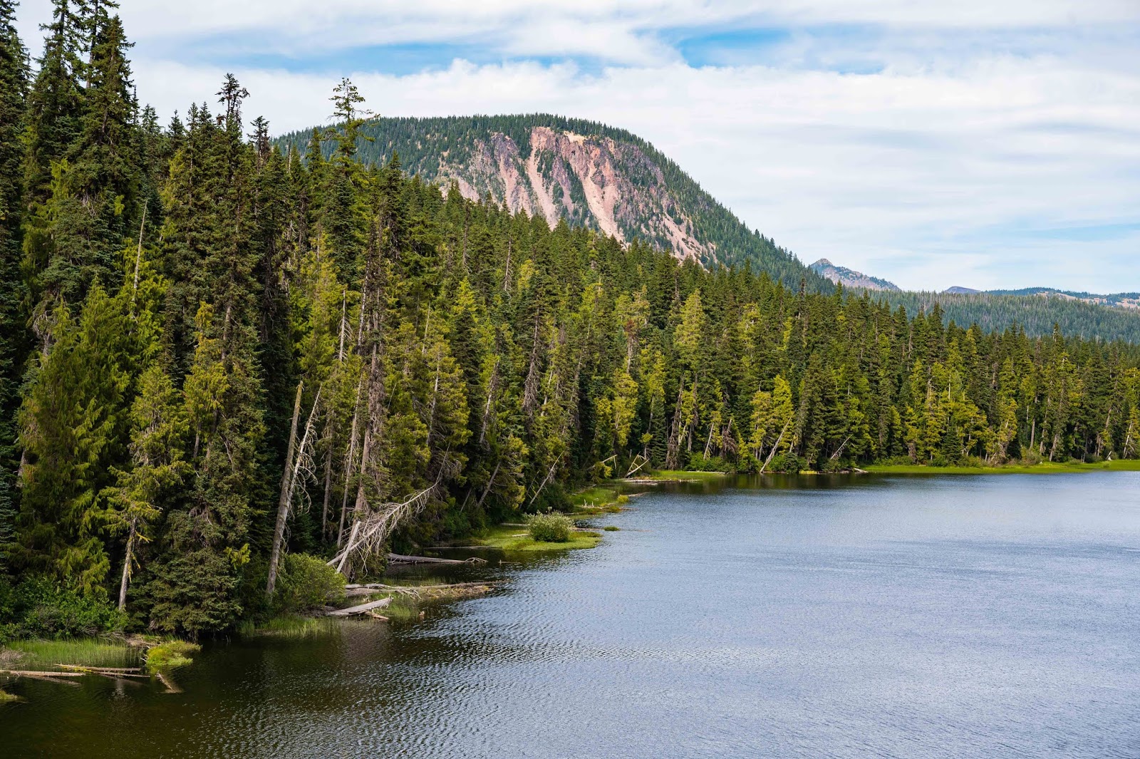 Illuminations from the attic Leech Lake