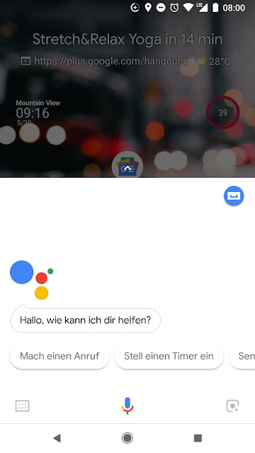 Screenshot des Google Assistant