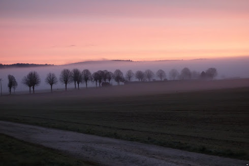 Lumières matinales montillotoises