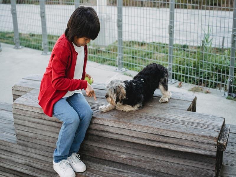 Hand Signals For Dogs Training Hand Signals For Dogs Training