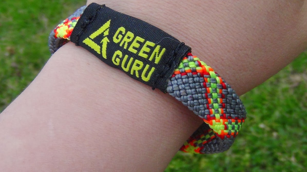 Living the Paisley Life Green Guru Review**