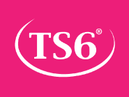 Review TS6