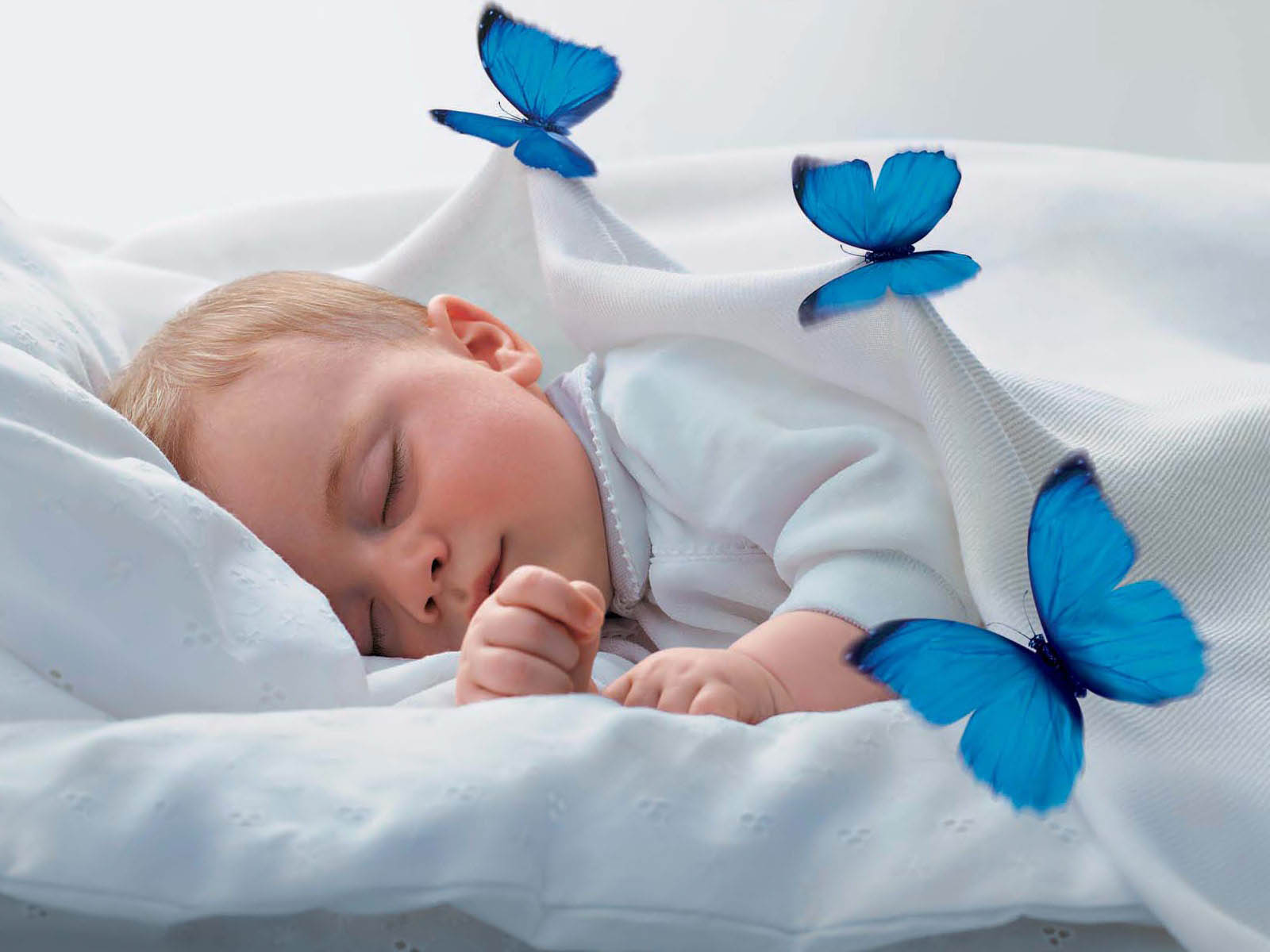 Wallpapers HD Desktop: Sleeping Babies Wallpapers