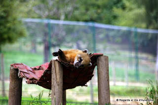 Parc animalier d'Auvergne