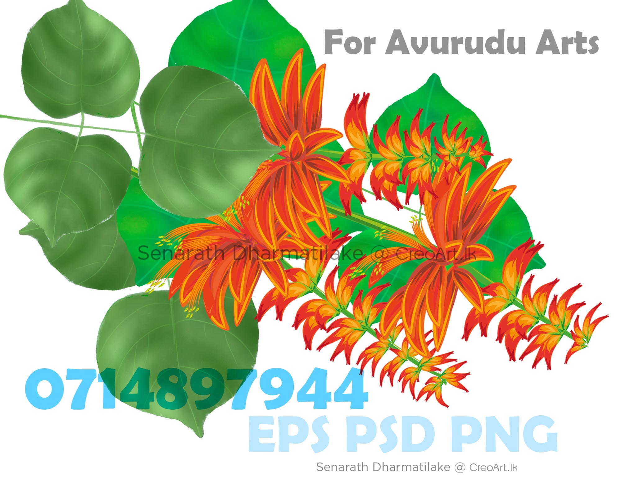 Erabadu Flower Sinhala Avurudu