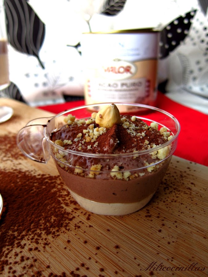 mousse-chocolate-biscuitglacedepraline-singluten-sinlacteos