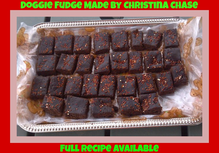 Frosting Fran All Natural Fudge For Dogs