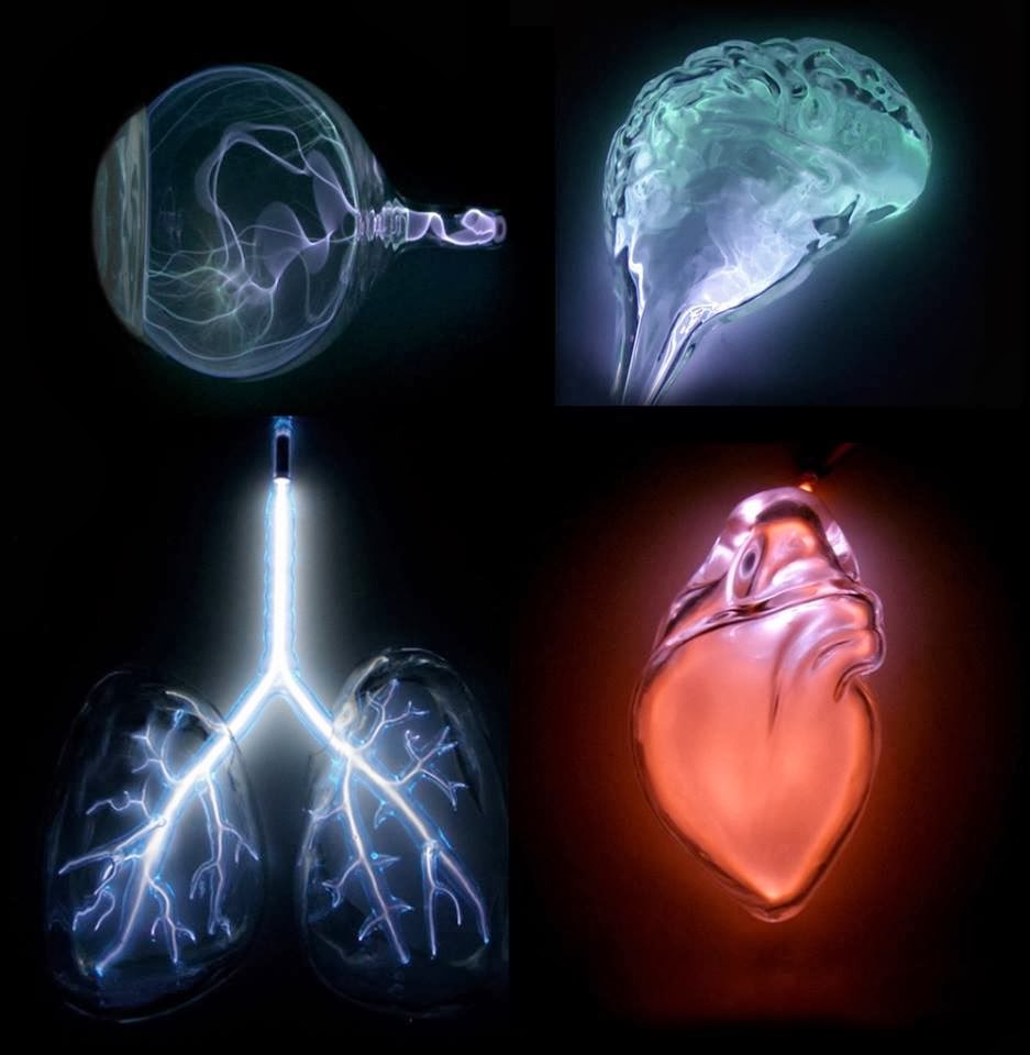 Physio Health Humans Glow in Visible Light