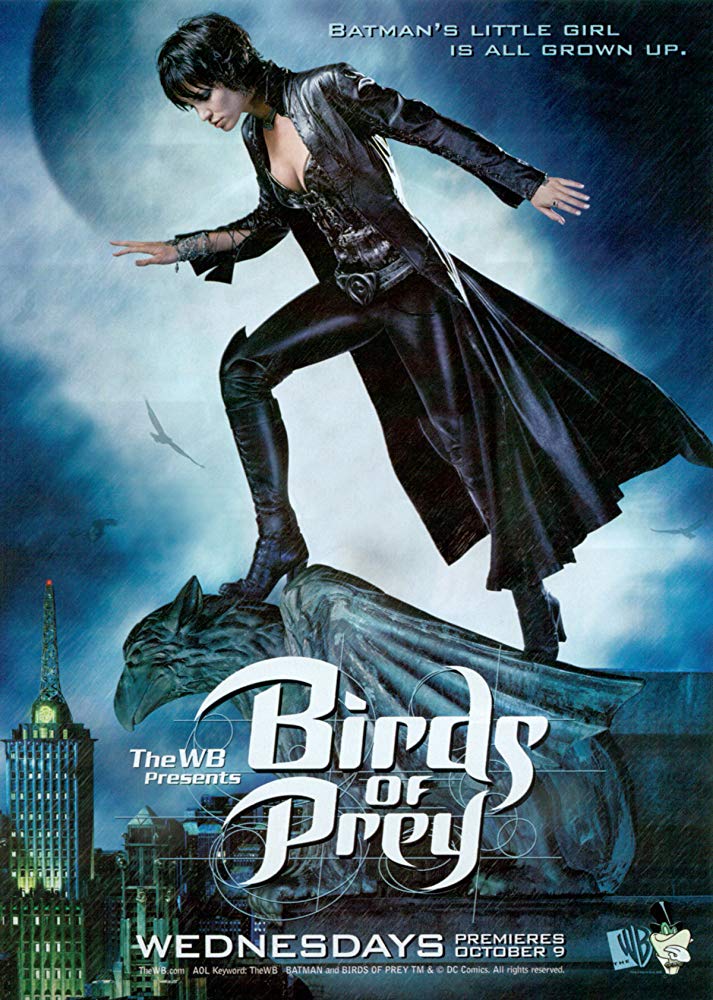 Birds of Prey 2 (2024) Fan Casting on myCast