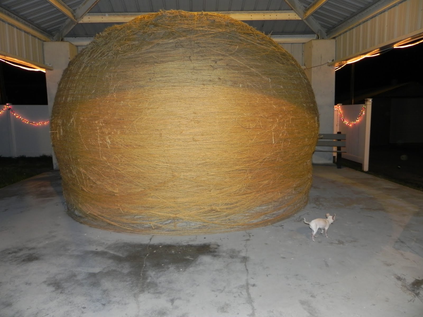 Taco Adventures Ball of Twine